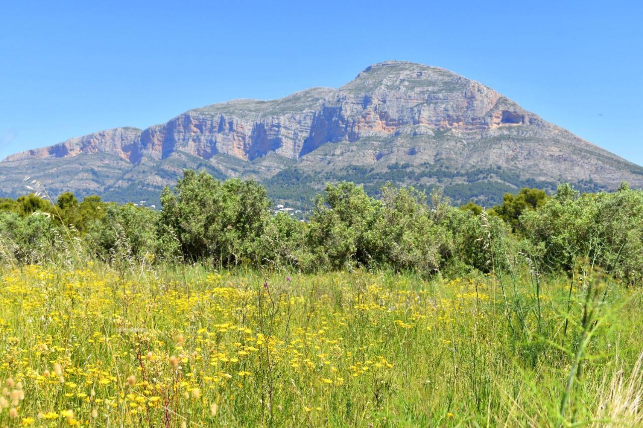 Apartamento Brisas Del Arenal Jávea Zewnętrze zdjęcie